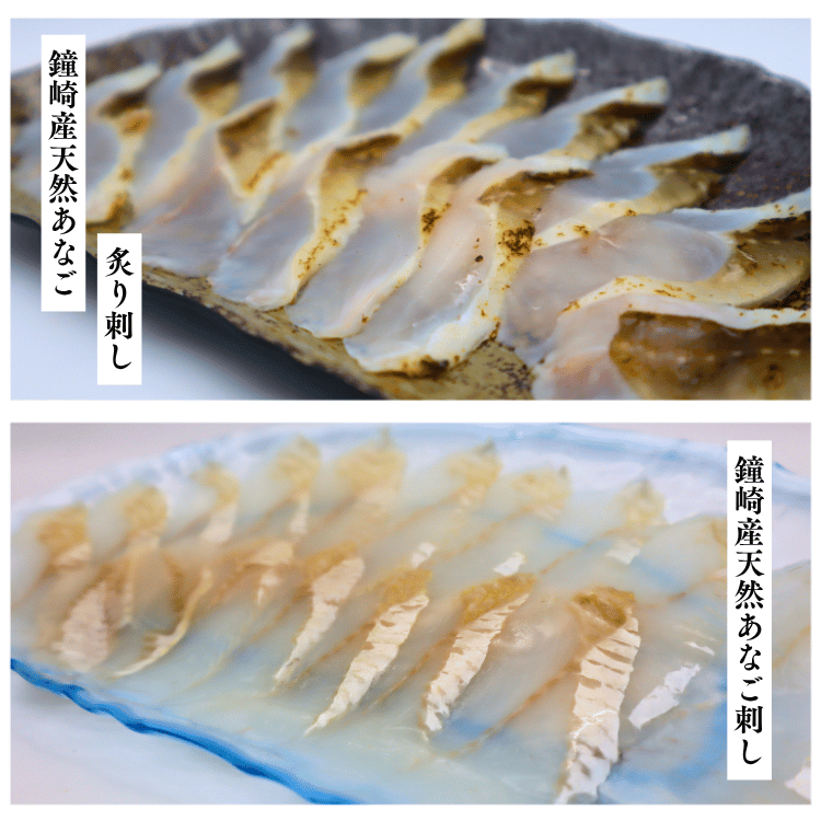 特別企画】宗像夏の天然海鮮4種セット（あなご刺し・炙り刺し